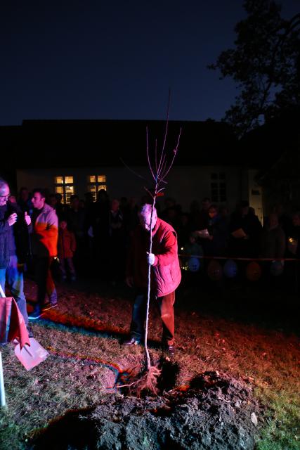 Pflanzen eines Apfelbaumes zum Lutherjahr vor der St. Katharinenkirche