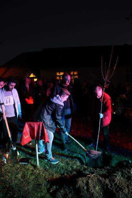 Pflanzen eines Apfelbaumes zum Lutherjahr vor der St. Katharinenkirche