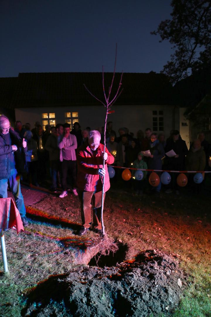 Pflanzen eines Apfelbaumes zum Lutherjahr vor der St. Katharinenkirche