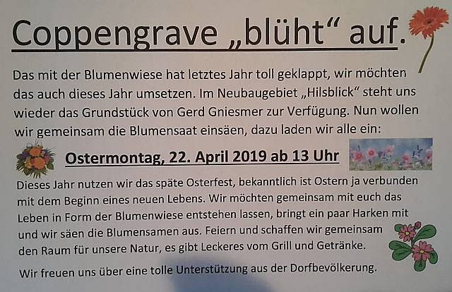 Coppengrave "blüht" auf - Blumenwiese