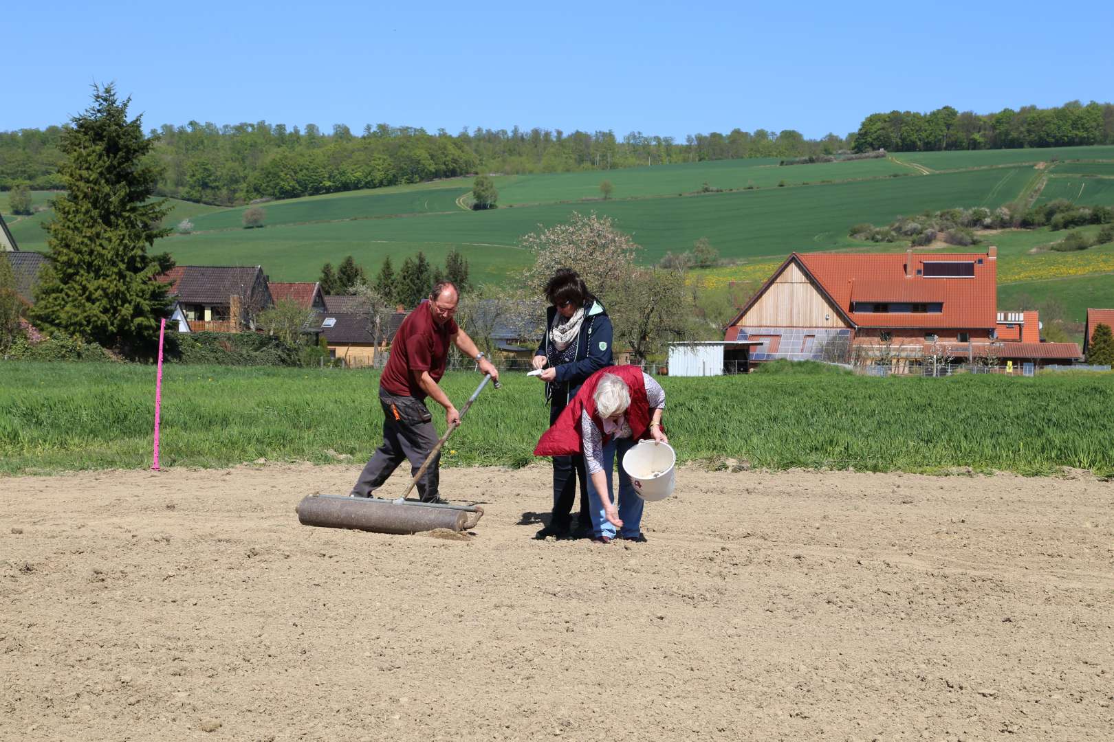 Aussaat auf der Blumenwiese