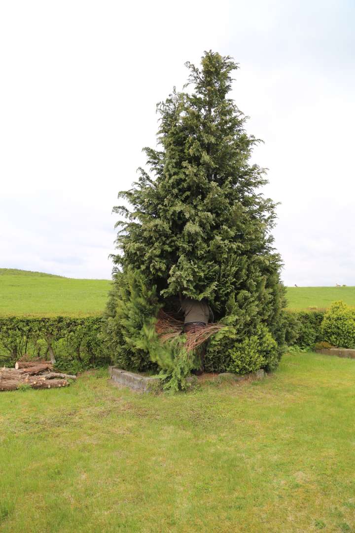 Arbeitseinsatz auf dem Friedhof Capellenhagen