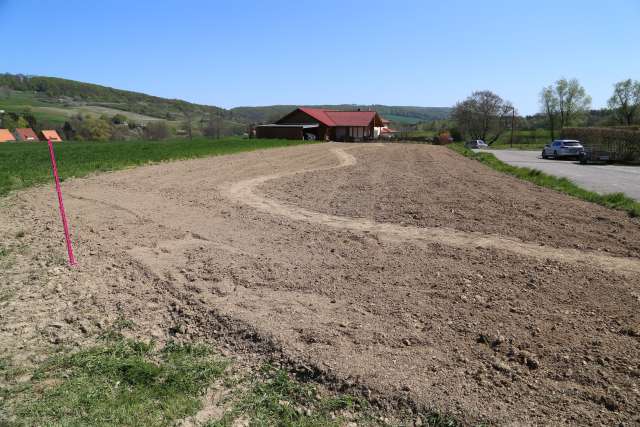 Coppengrave blüht auf: Die Blumenwiese nach zwei Wochen