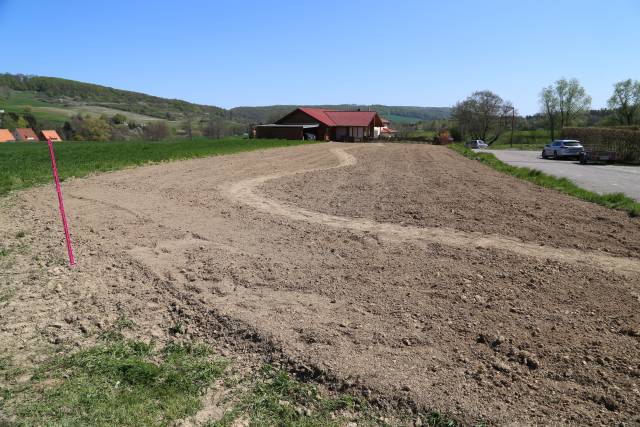 Coppengrave blüht auf: Die Blumenwiese nach sieben Wochen