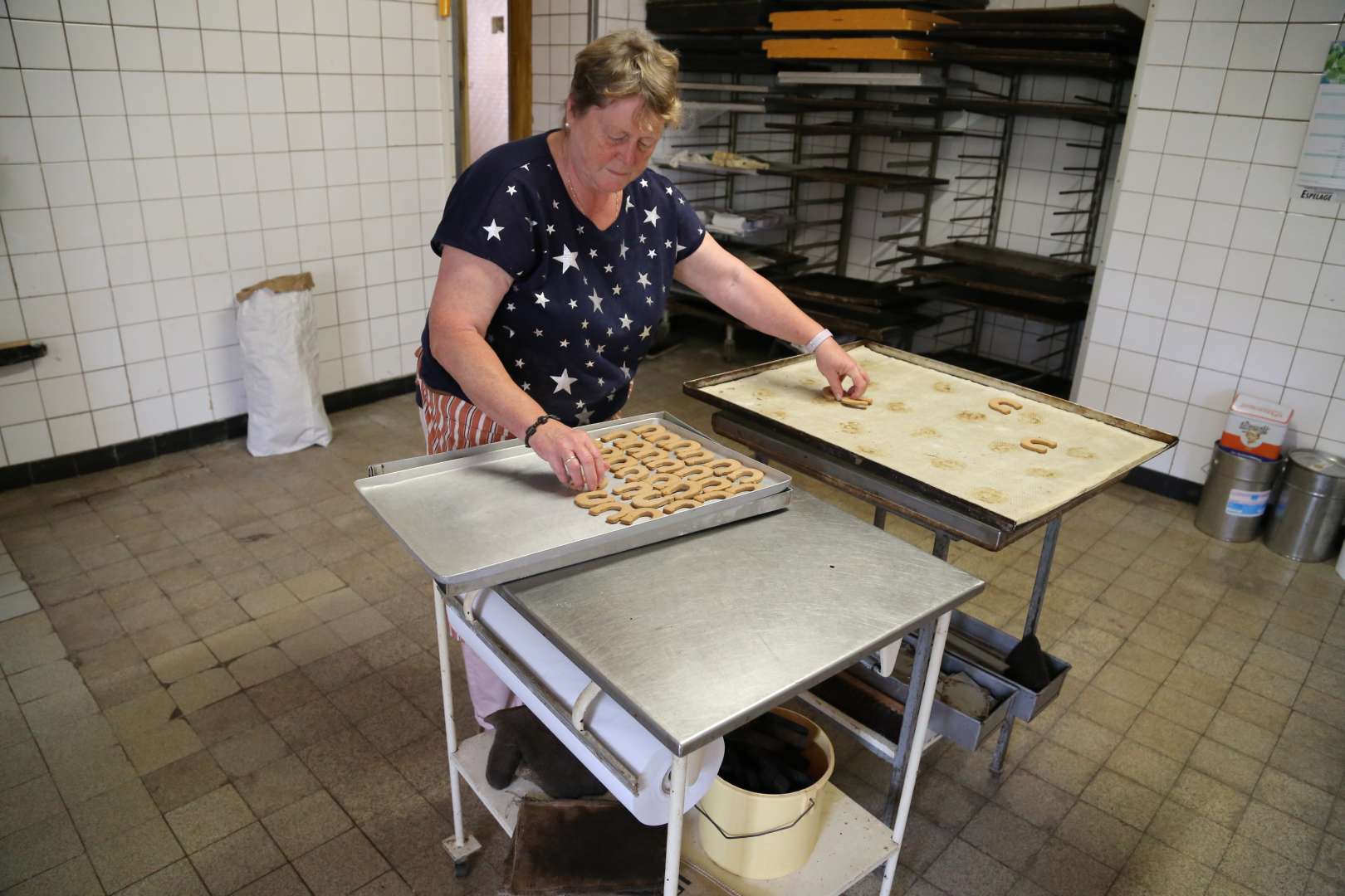 Hufeisen und ein Bunter Vogel