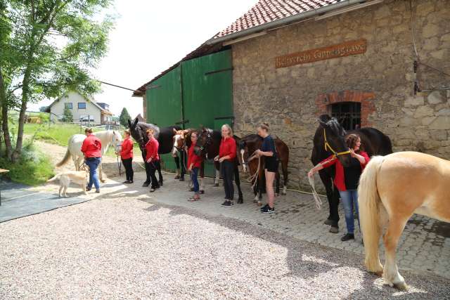 Ökumenischer Pfingstgottesdienst im Reitstall