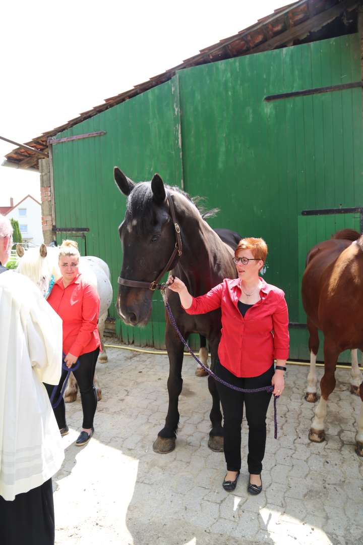 Ökumenischer Pfingstgottesdienst im Reitstall