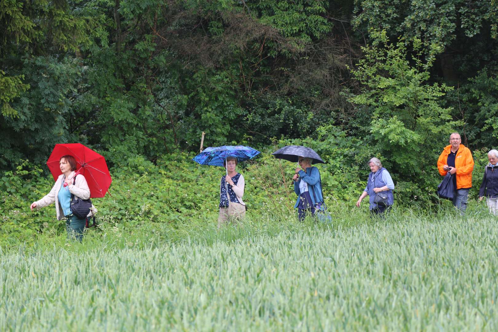 5. Taufengelwanderung von Bodenburg nach Wehrstedt
