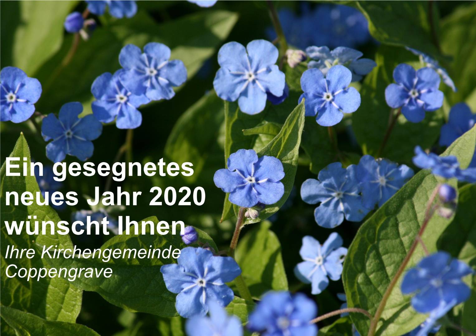 Ein gesegnetes neues Jahr 2020