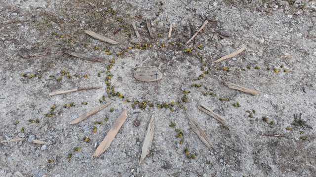 Impressionen vom Osterspaziergang