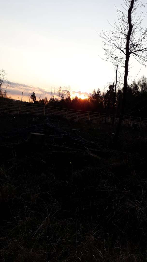 Impressionen vom Osterspaziergang