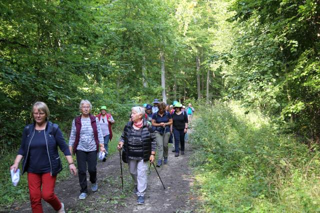 Pilgertag von Hoyershausen über Dehnsen nach Limmer