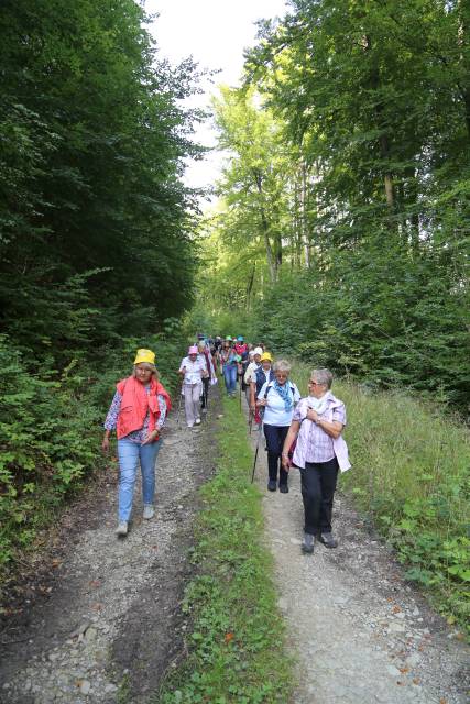 Pilgertag von Hoyershausen über Dehnsen nach Limmer