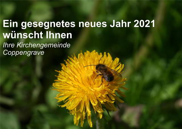 Ein gesegnetes neues Jahr 2021