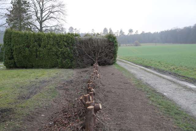 Arbeitseinsatz auf dem Friedhof in Coppengrave