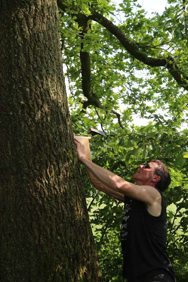 Biodiversität: Nistkästen für Insekten auf dem Friedhof Coppengrave