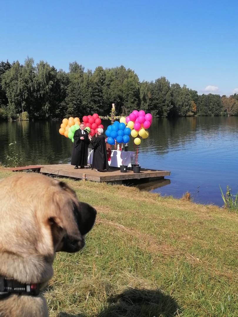 Weitere Bilder vom Tauffest