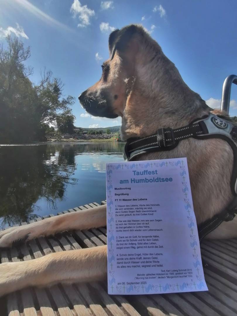 Weitere Bilder vom Tauffest