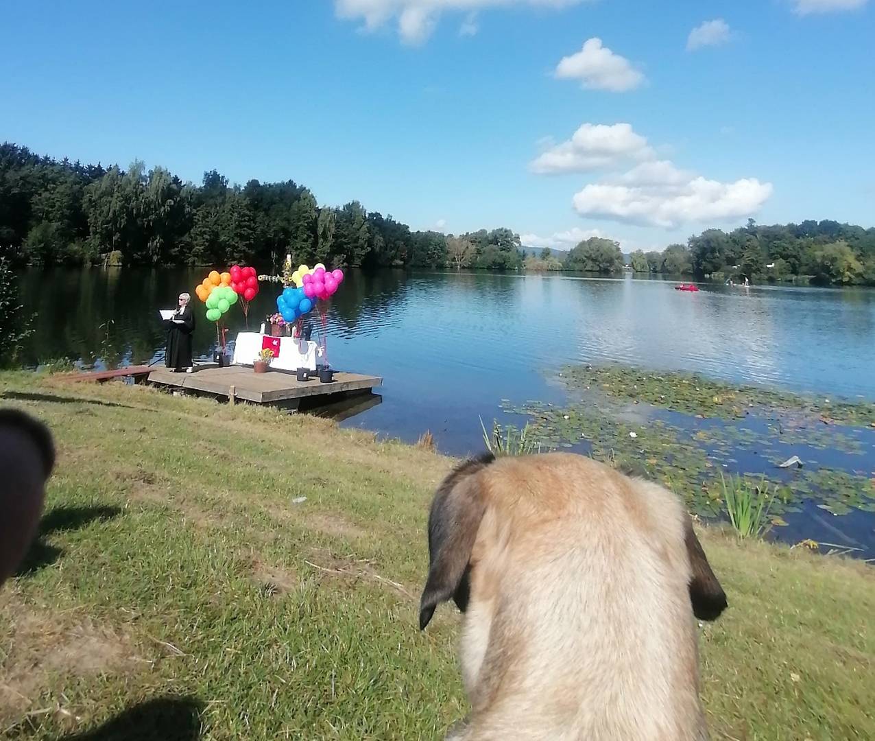 Weitere Bilder vom Tauffest