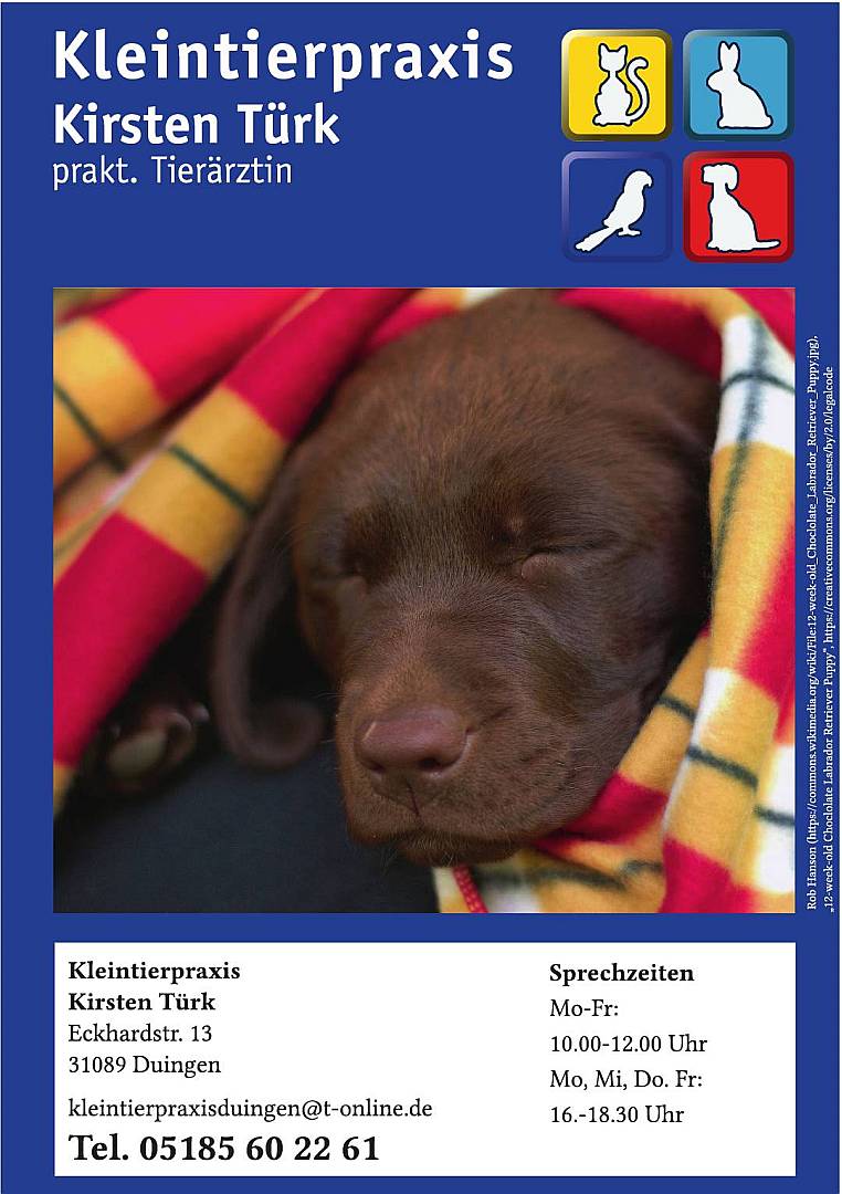 Gemeindebrief März - Mai 2026